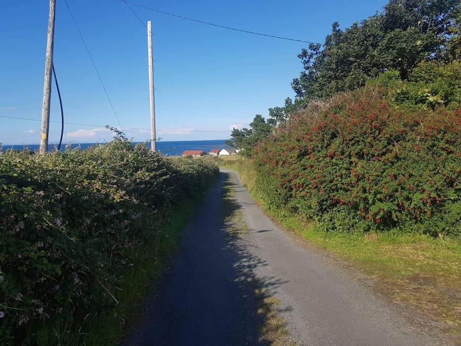 Dromore West Coastal Cottage מראה חיצוני תמונה